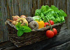 A basket of vegetables