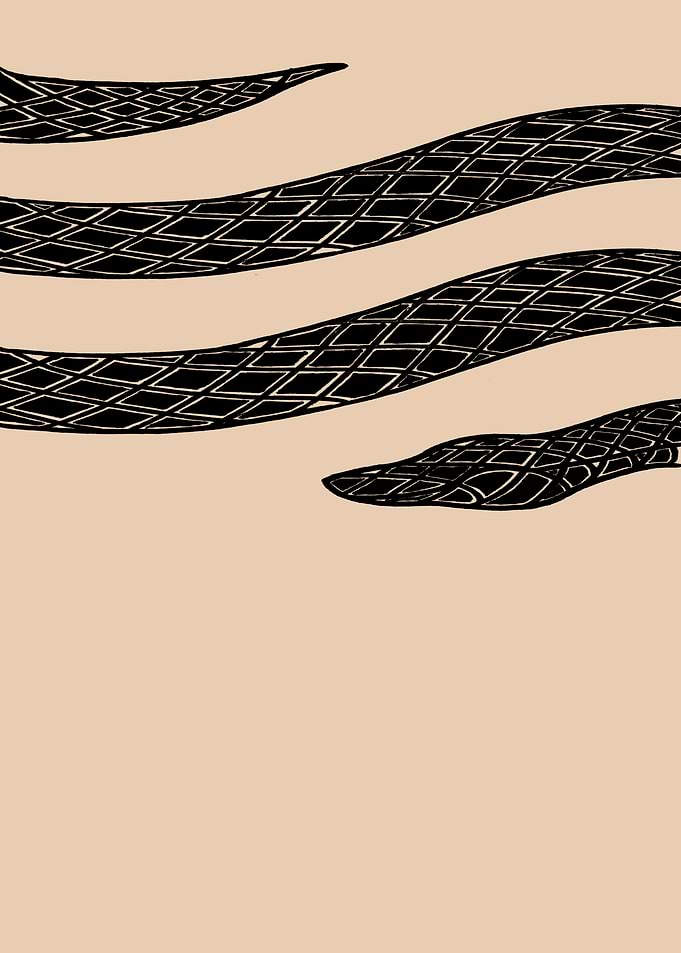 Snake