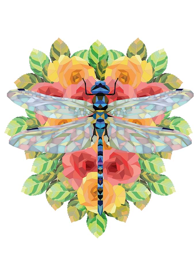 Dragonfly On Blooming Rose