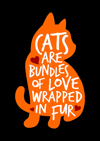 Cat is Love