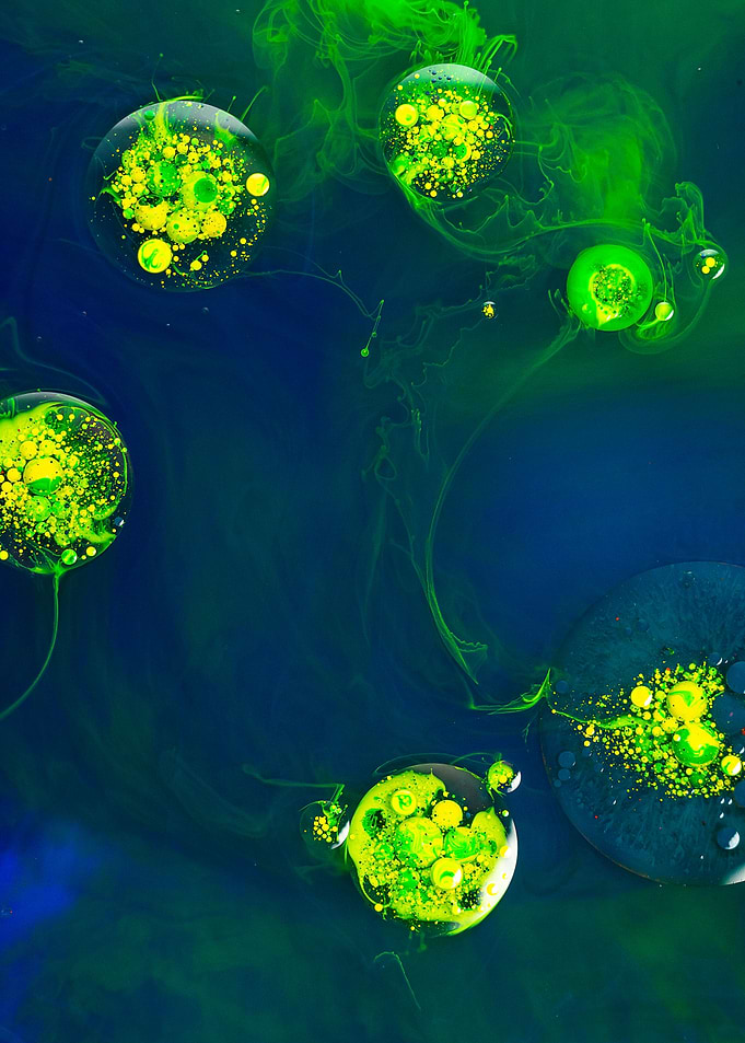 Bicolor pollen