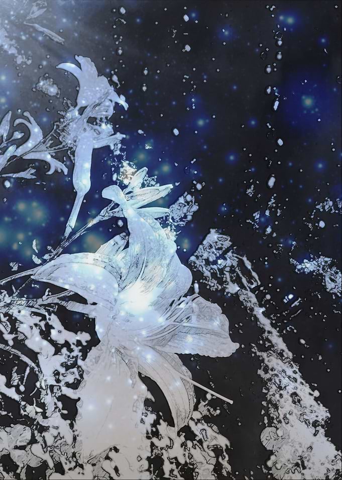 The lily of the waters