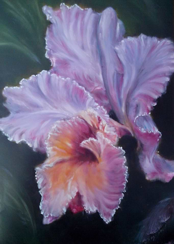 orchid