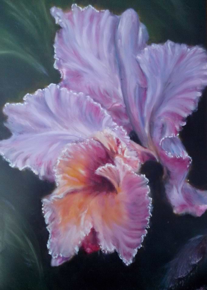 orchid