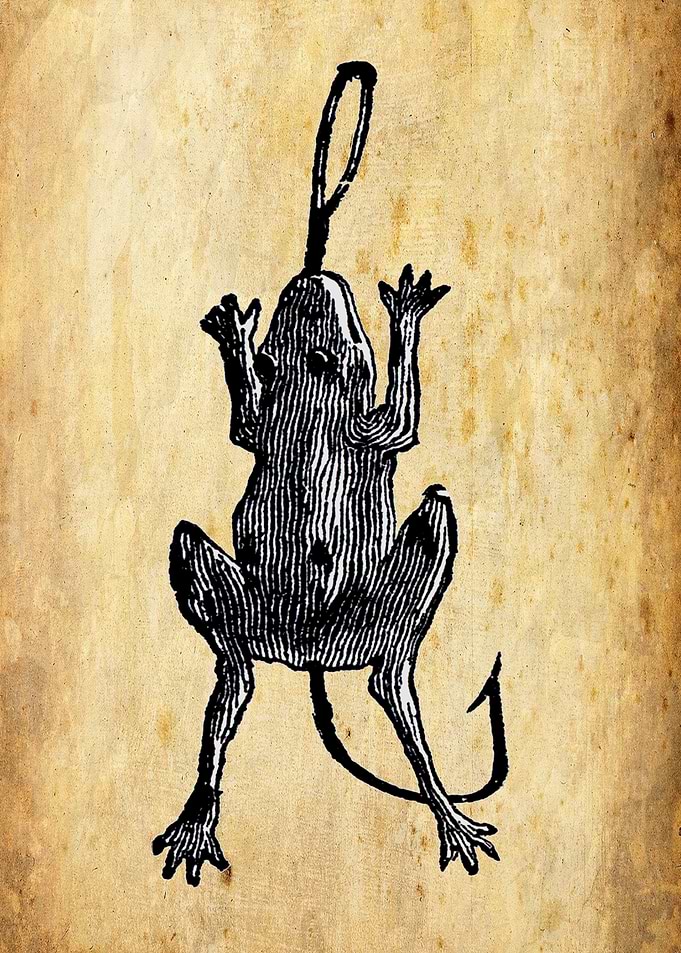 Vintage Frog lure
