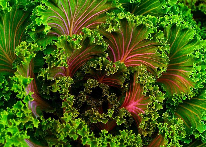 Kale