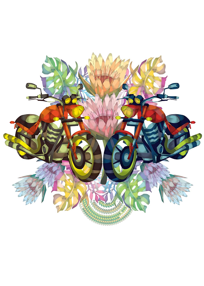 Nature Rider