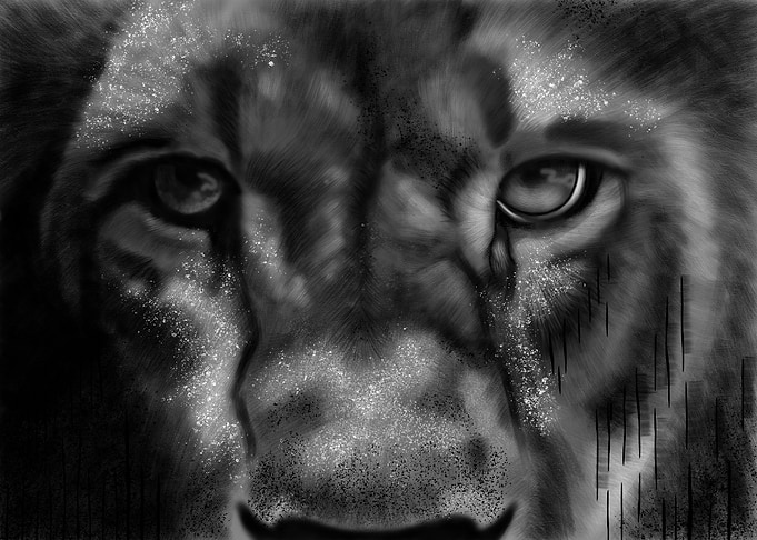 abstract lion