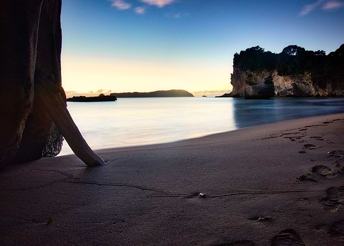 Morning Footsteps