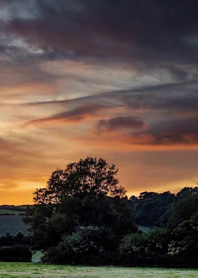 Beautiful Sunset