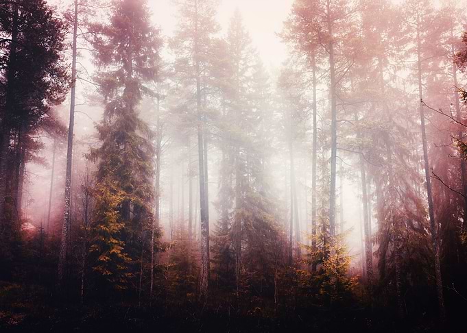 Fogilishous Vol3