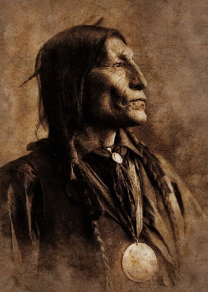 Chief Wolf Robe