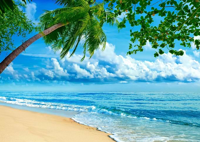 Tropical Paradise