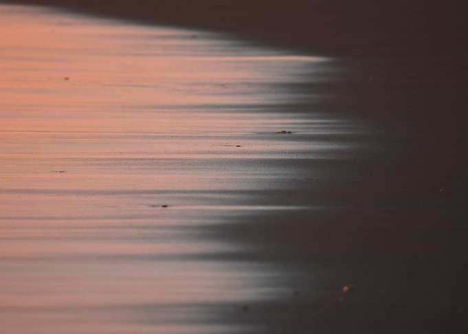 Pink Shore