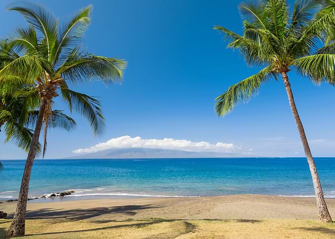 Tropical Paradise