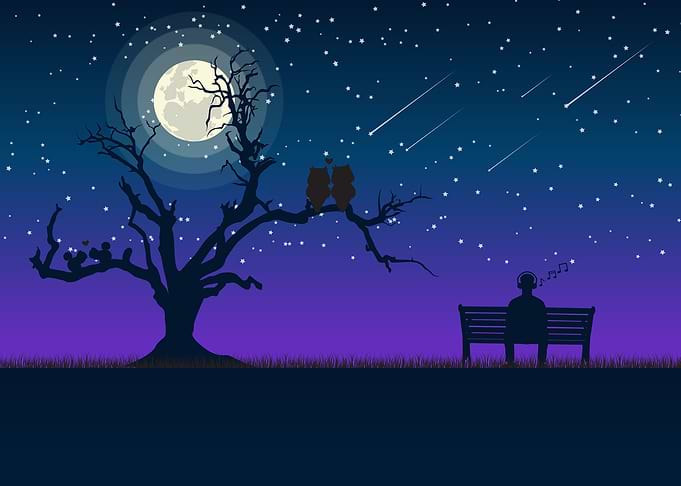 Night Illustration
