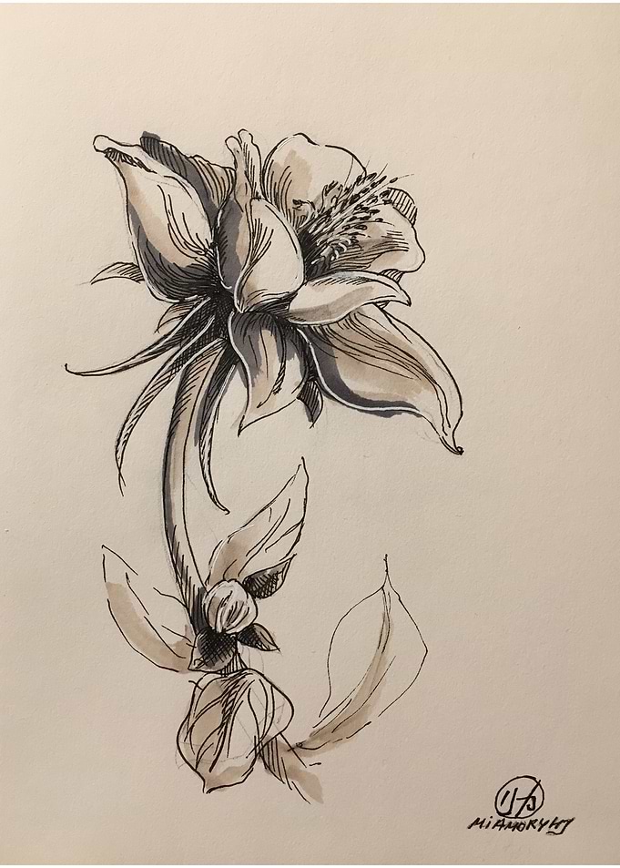 Flower