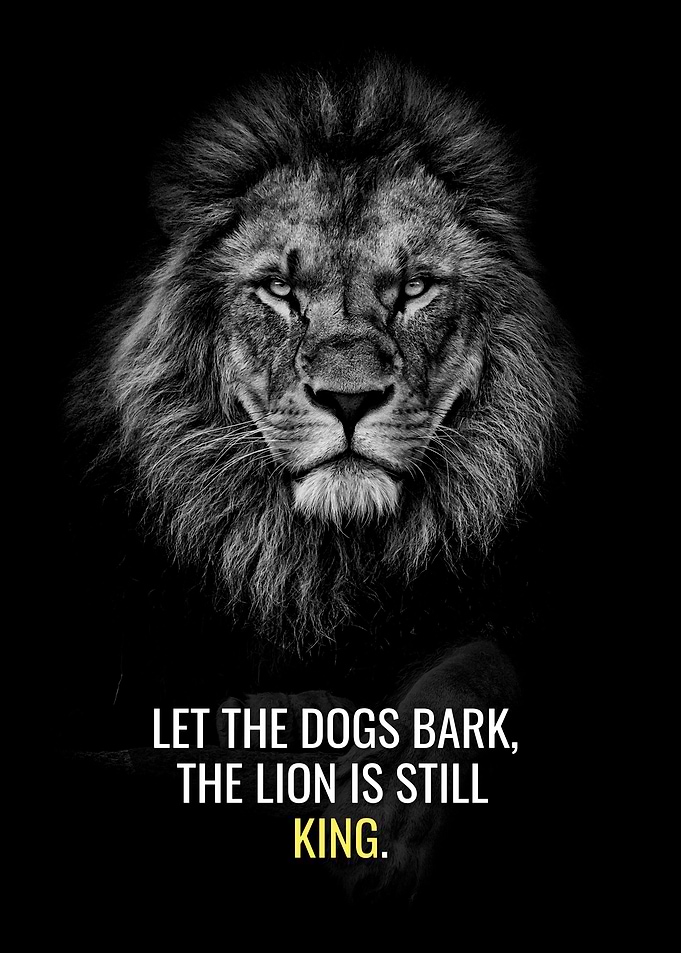 Lion is Still King