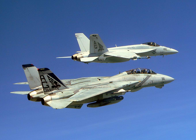Tomcat and Hornet