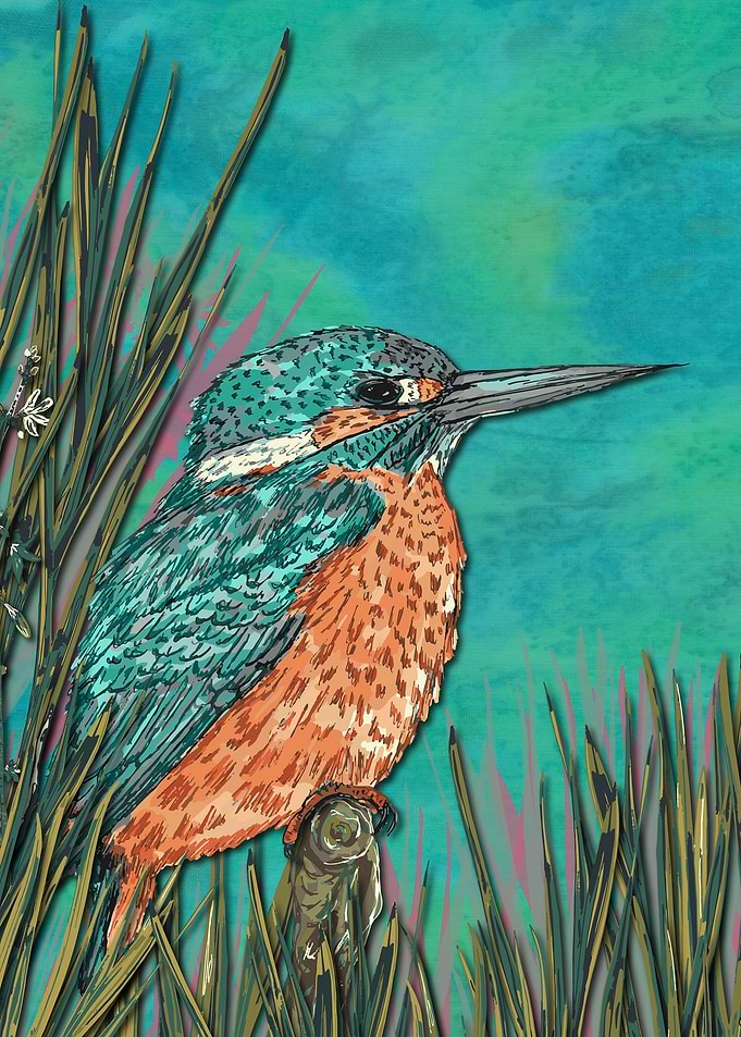 Kingfisher