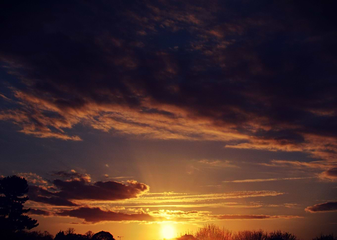 Sunset Landscape