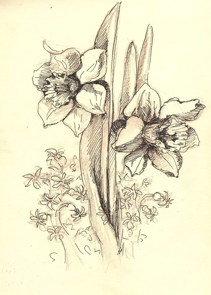 Lilies