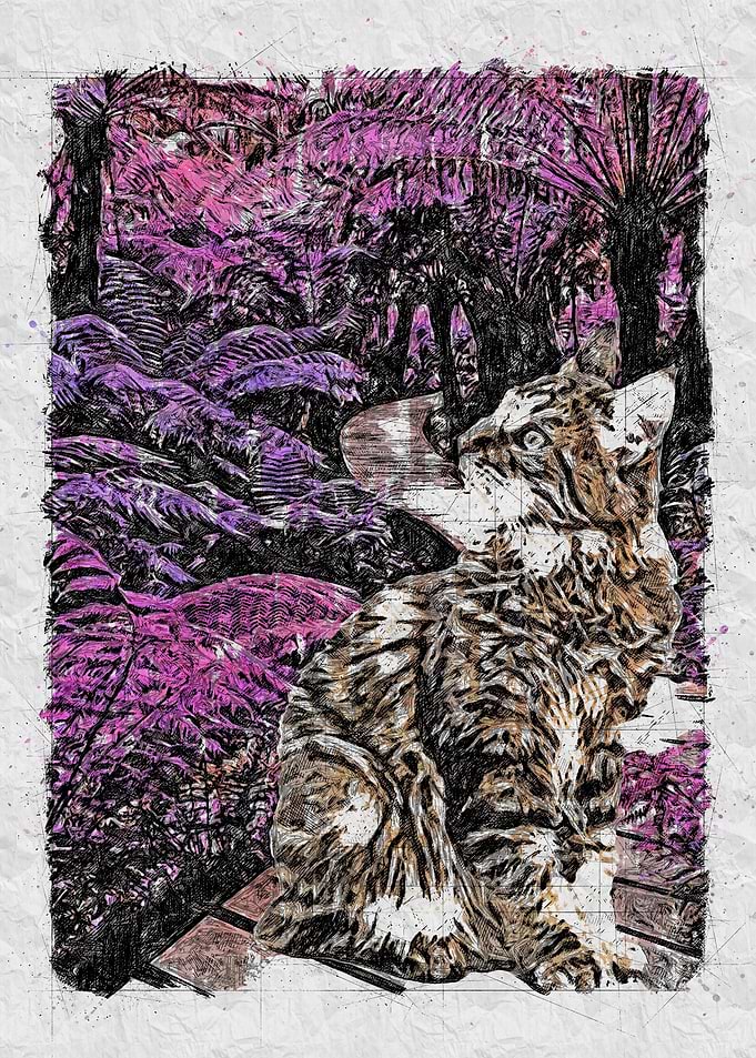 Explorer