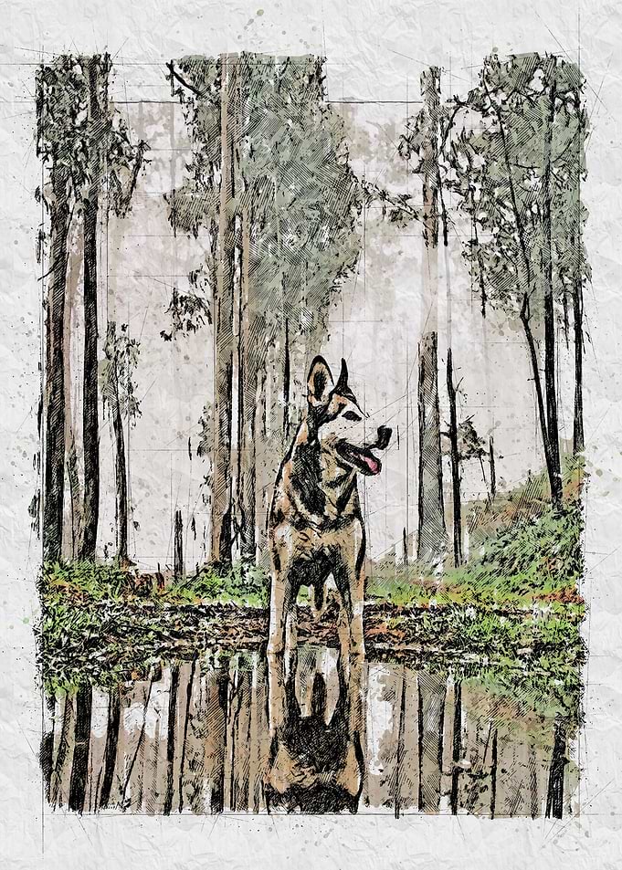Wolf Descendant