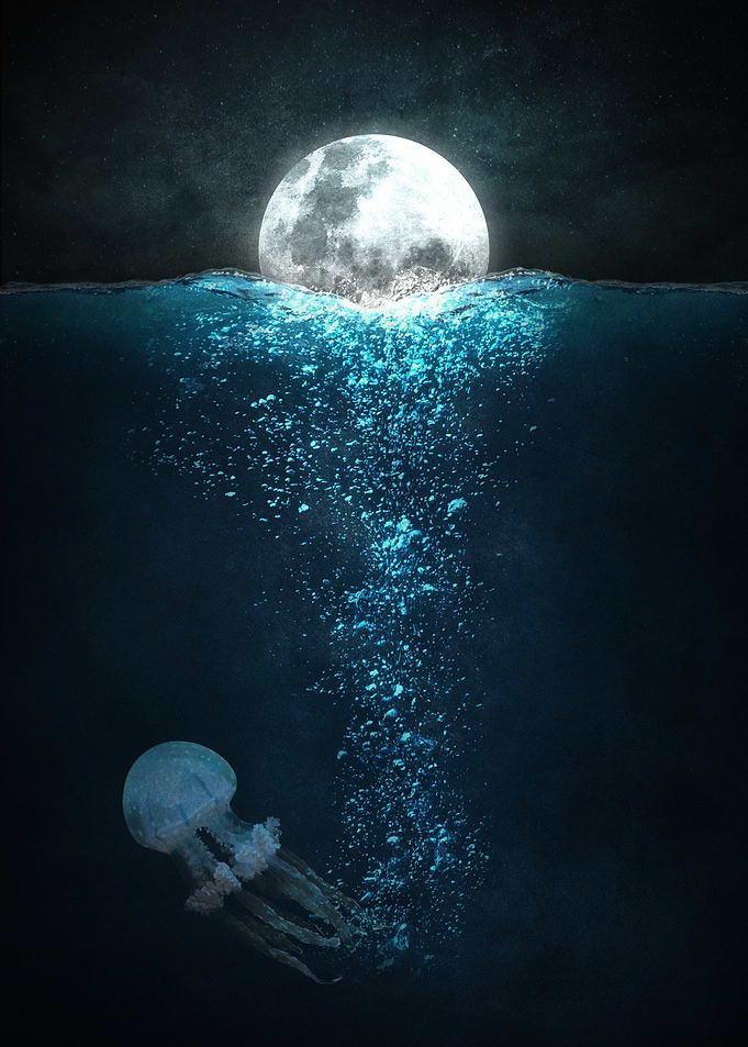Moon Light On Ocean