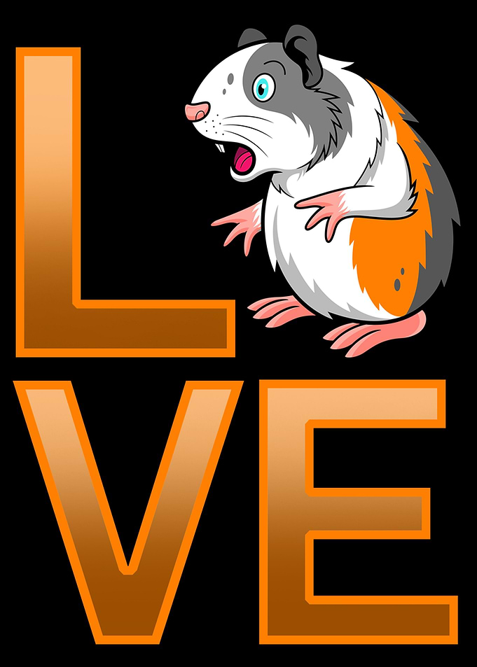 Guinea Pig Love