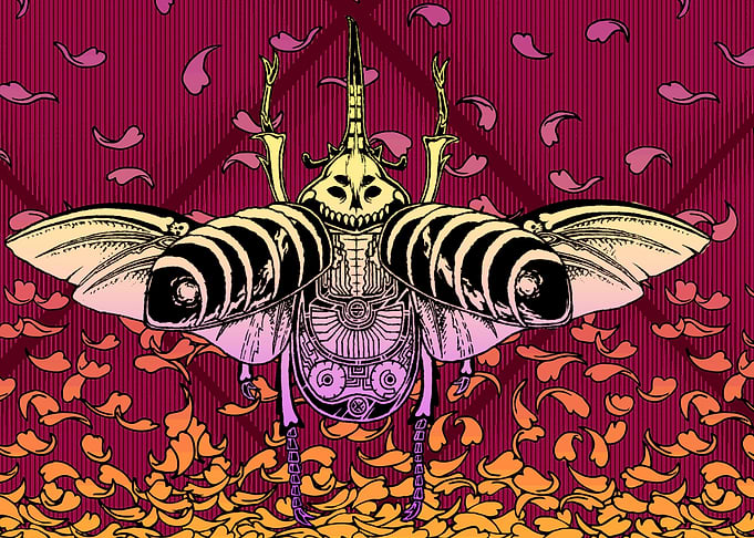 Caleopter