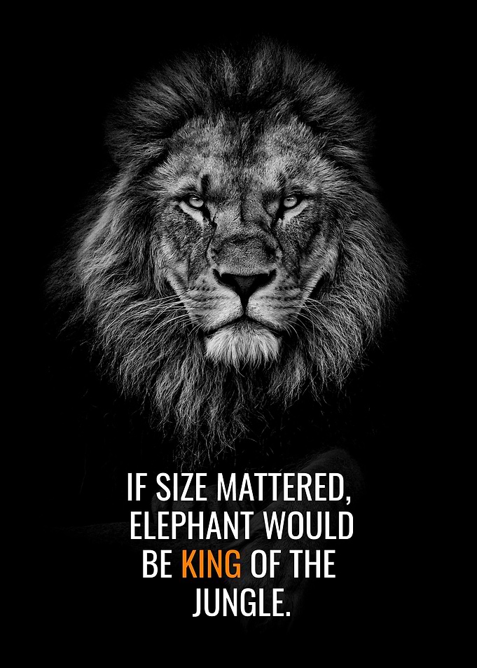 Size is not Important