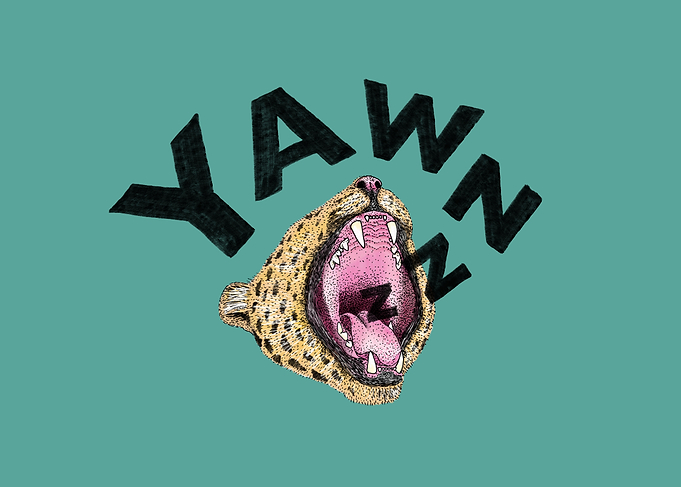 Yawnz