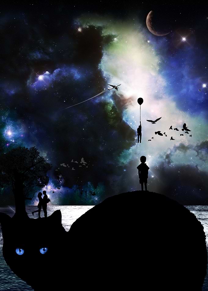 Shadow of life