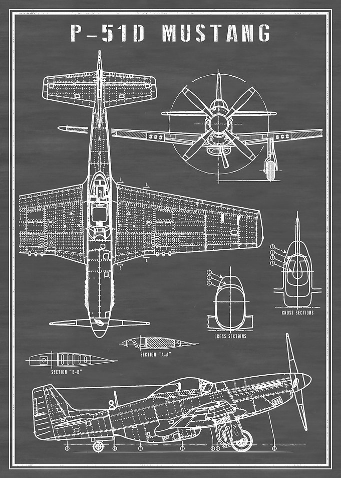 P-51 Mustang Airplane