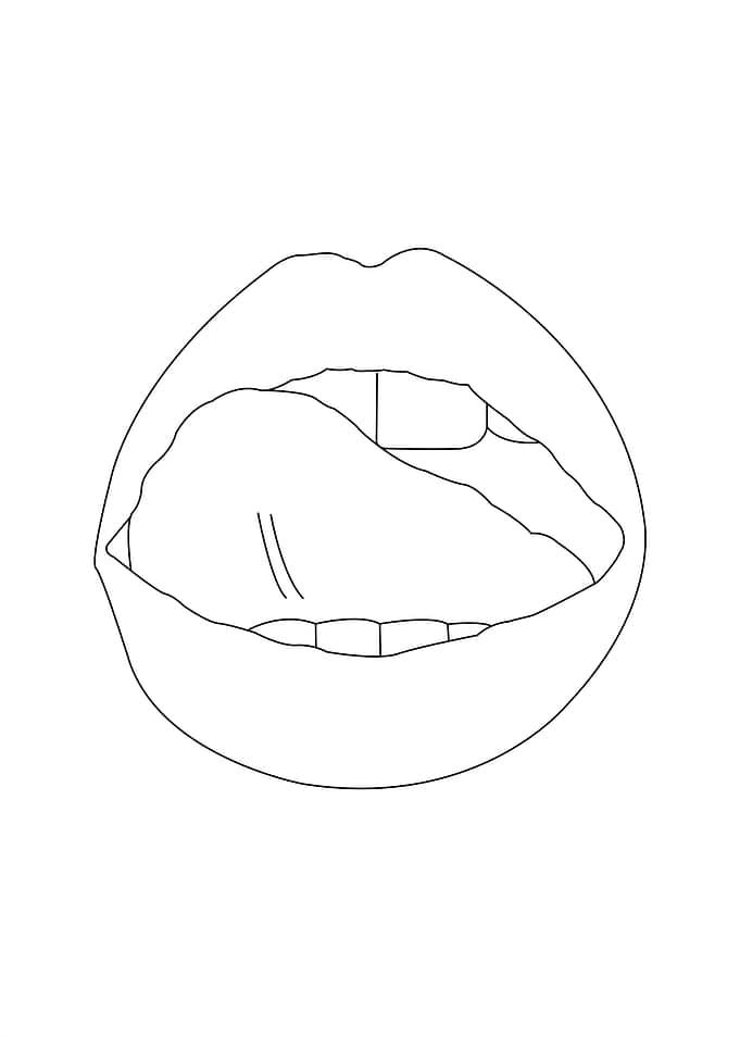Mouth