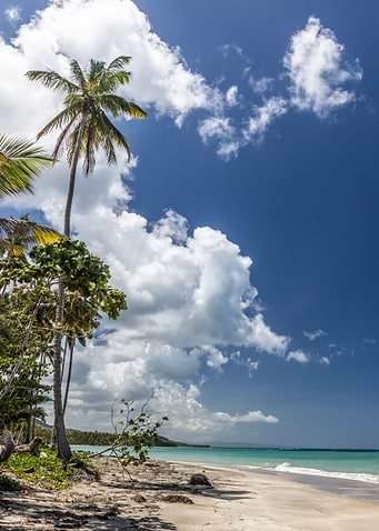 lonely beach view