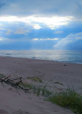 baltic see