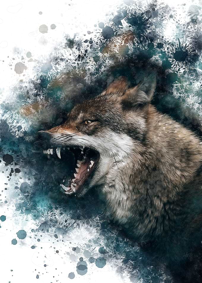 Bad Wolf
