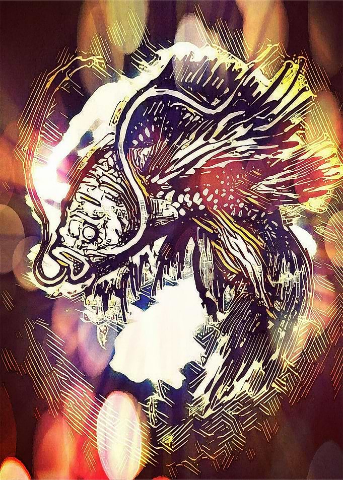ok koi