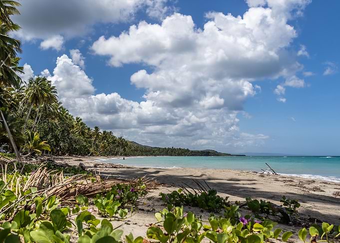 lonely beach
