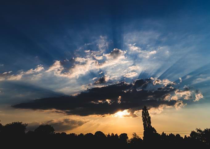 Sun Rays