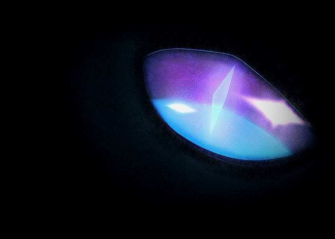 Dragons Eye