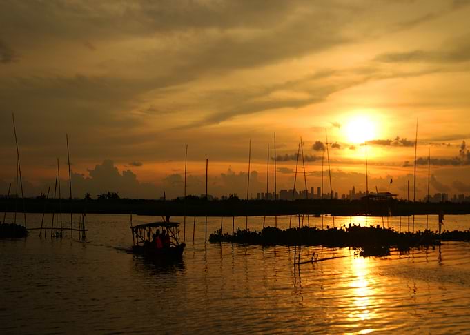 Sunset 5