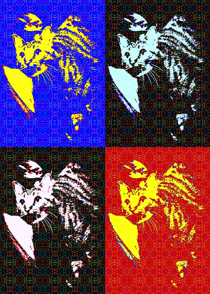 Kitty Does Warhol