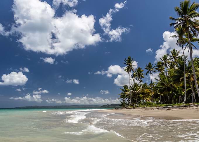 Caribbean View