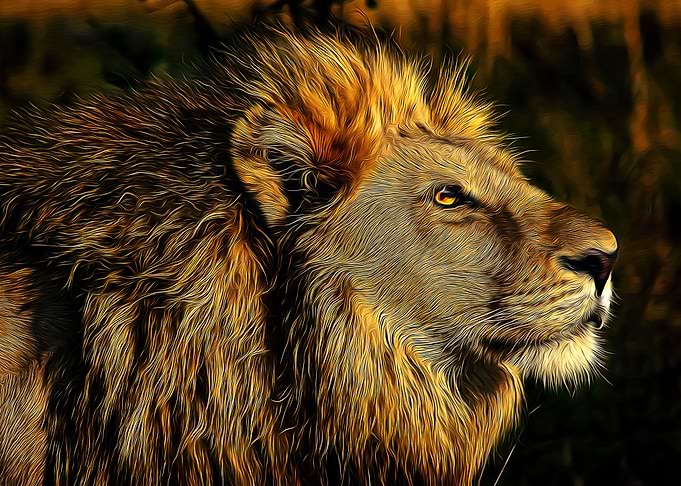 Lion