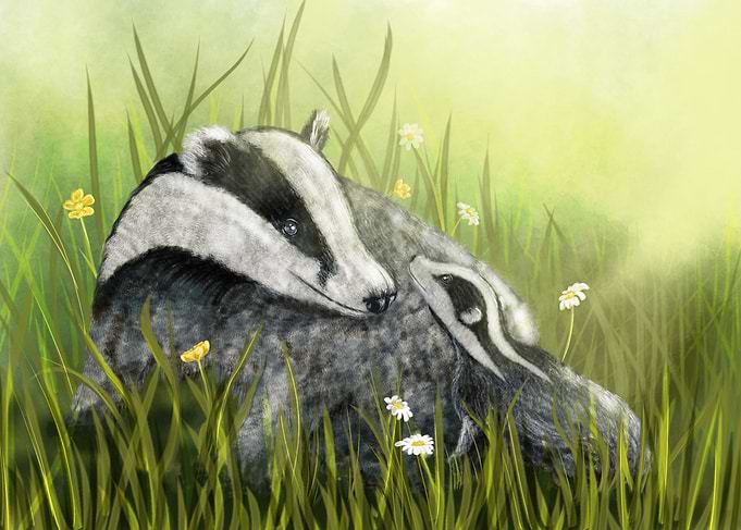 Badgers