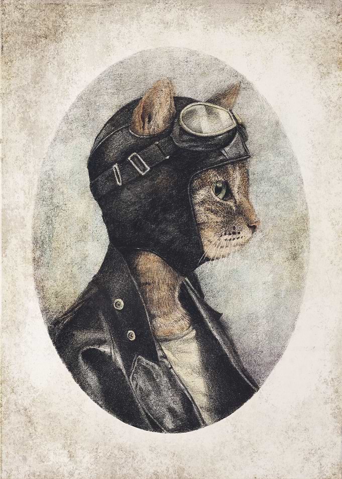 Pilot