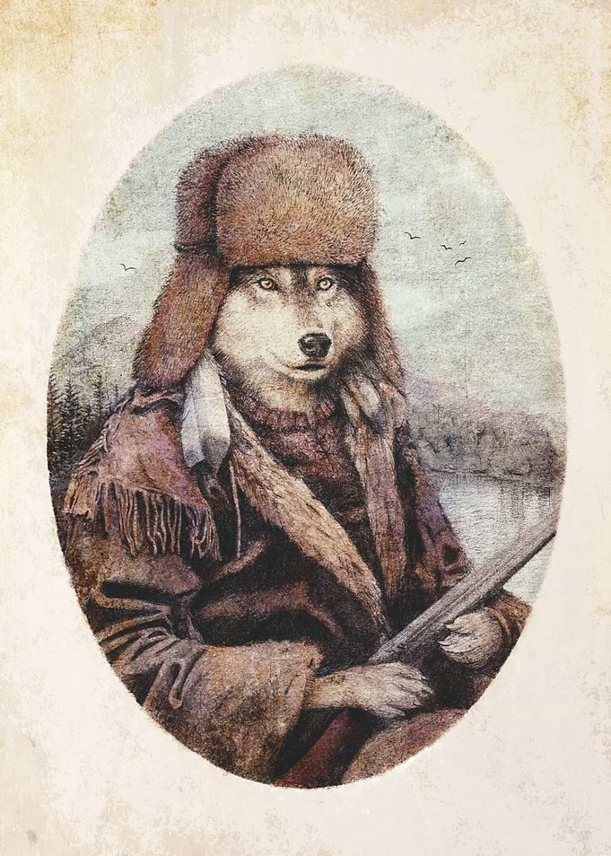 Mountain Wolf